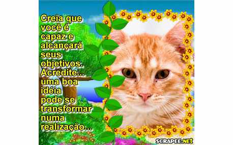 Moldura - Acredite Em Voce