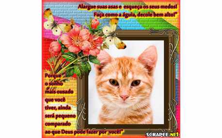 Moldura - Sonho Ousado