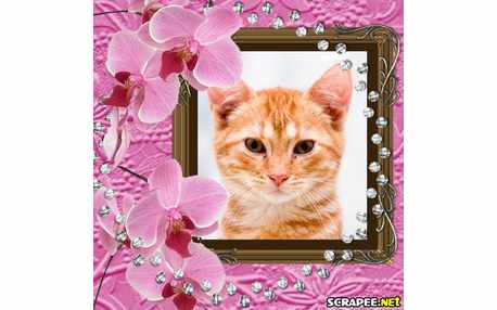 Moldura - Montagem Com Flores