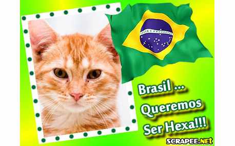 Moldura - Brasil Hexa Campeao