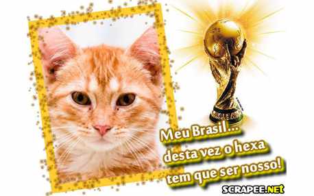 Moldura - Brasil Campeao