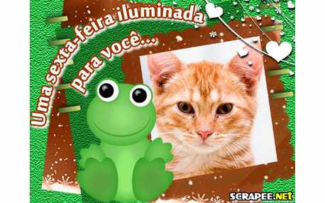 Moldura - Sapinho Verde