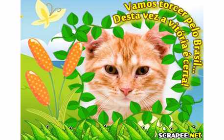 Moldura - Vitoria Do Brasil