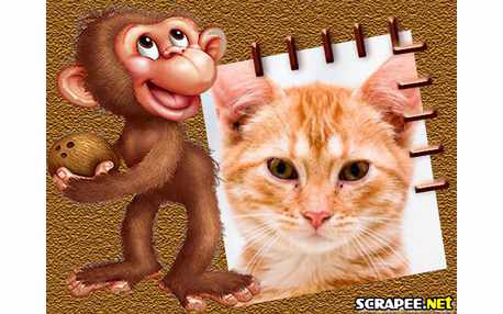 Moldura - Macaquinho