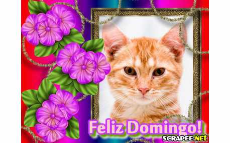 Moldura - Domingo Hiper