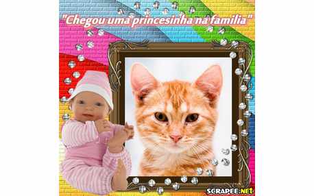 Moldura - Nasceu Uma Princesa