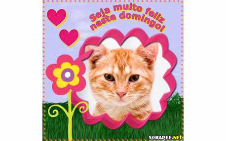 Moldura - Dia  Lindo