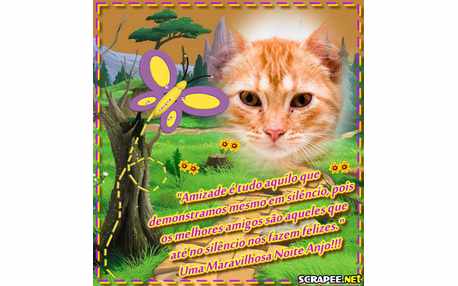 Moldura - Demonstracao