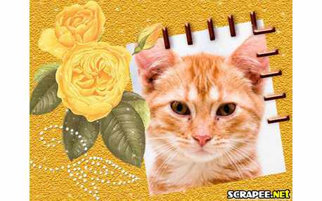 Moldura - Montagem De Rosas Amarelas