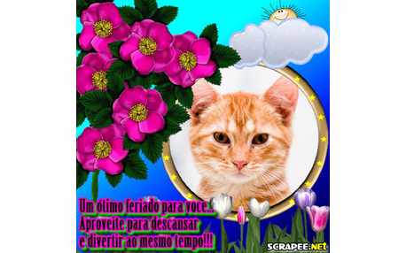 Moldura - Fazendinha