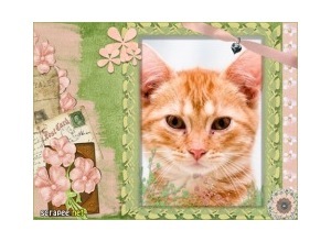 Moldura - Lindo Cartao Com Flores