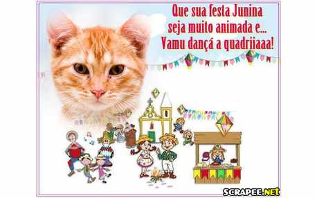 Moldura - Festas Juninas