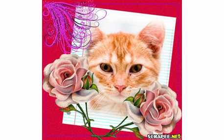 Moldura - Duas Rosas