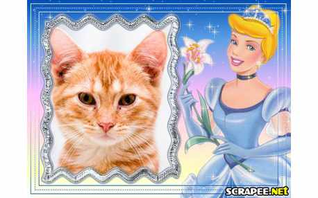 Moldura - Cinderela Sozinha