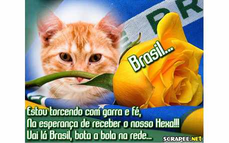 Moldura - Bola Na Rede