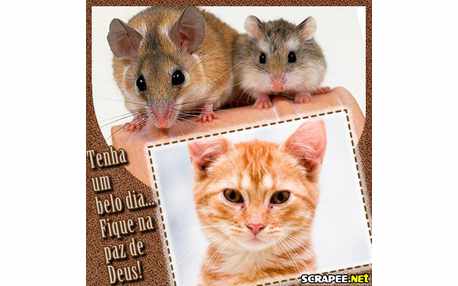 Moldura - Paz De Deus