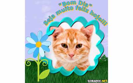 Moldura - Raiar Do Sol