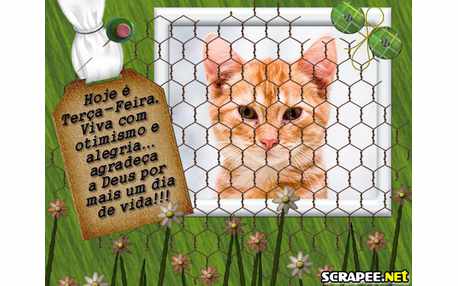 Moldura - Terca Feira