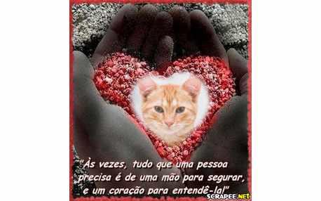 Moldura - Tudo Que Alguem Precisa