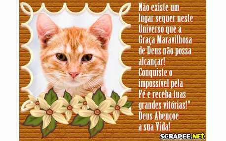 Moldura - Graca Maravilhosa