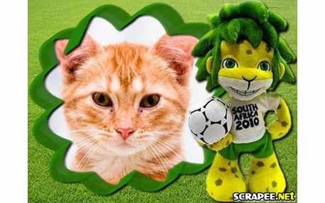Moldura - Copa Do Mundo 2010