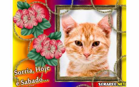 Moldura - Cores Da Bandeira