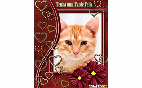 Moldura - Como Ser Feliz