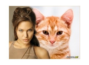 Moldura - Angelina Jolie Famosa