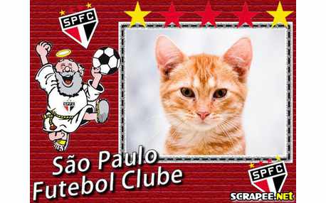 Moldura - Moldura Do Sao Paulo Futebol Clube
