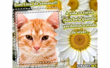 Moldura - Medo De Viver