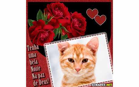 Moldura - Espetacular