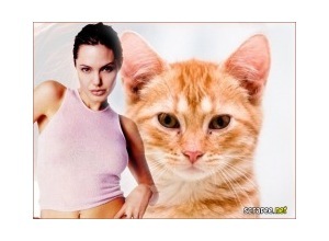 Moldura - Atriz Angelina Jolie