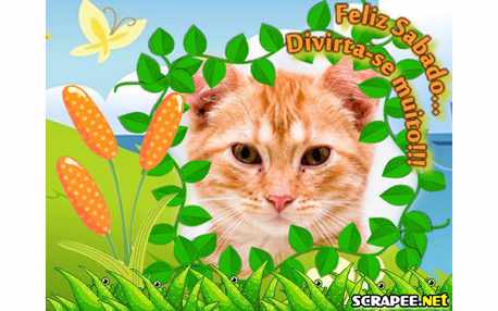 Moldura - Ser Feliz De Verdade