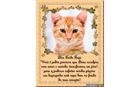 Moldura - Mensagens Da Tarde