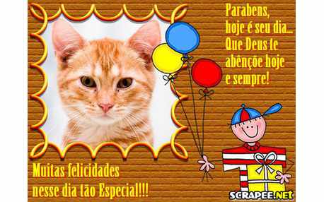 Moldura - Festa De Aniversario