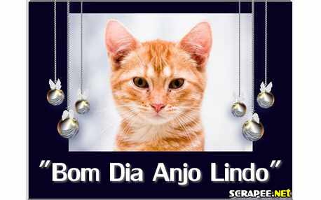 Moldura - Raiar Do Dia