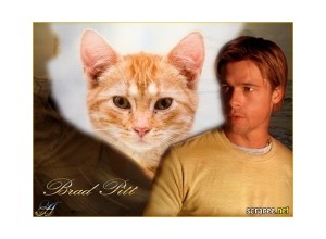 Moldura - Ator Brad Pit 2