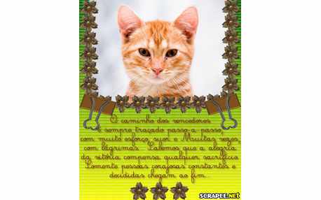 Moldura - Como Ser Vencedor