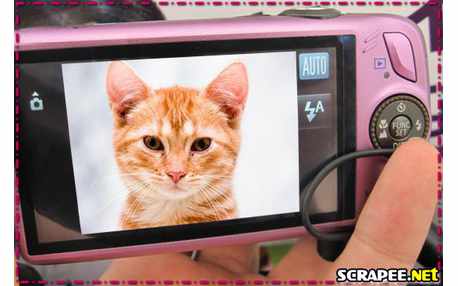 Moldura - Camera Digital Rosa