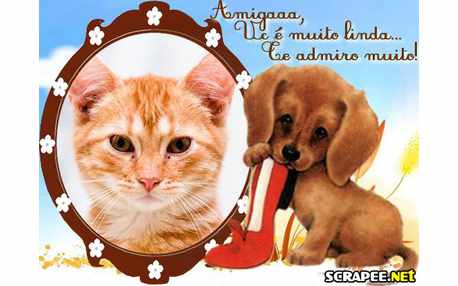 Moldura - Elogia Para A Amiga