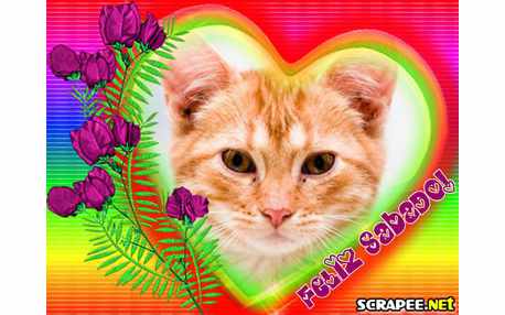 Moldura - Sabado Dia De Descanso