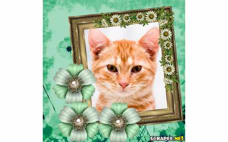 Moldura - Montagem De Flor Verde