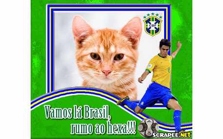Moldura - Brasil Na Copa