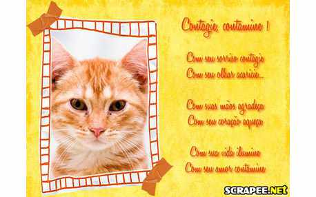 Moldura - Contagiante