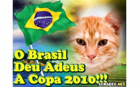 Moldura - Adeus Brasil