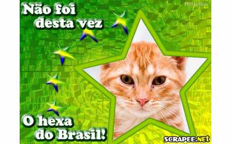 Moldura - Nao Foi Desta Vez Brasil