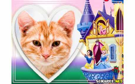 Moldura - Castelo Da Cinderela