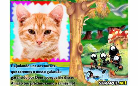 Moldura - Turma Do Smiliguido