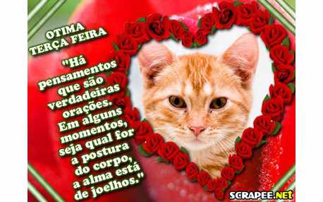 Moldura - Coracao De Rosas