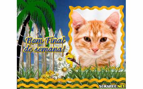 Moldura - Paizagem No Campo